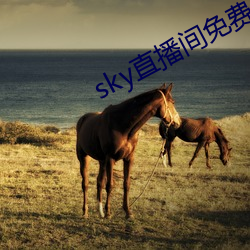 sky直播間免費下載