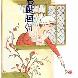 全面屏成年(年)人的壁(壁)纸女