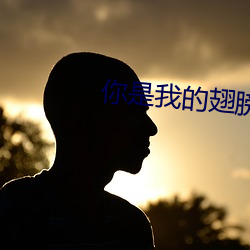 你是我的翅膀 （倾向性）