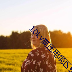 10kv高压电缆区(區)别