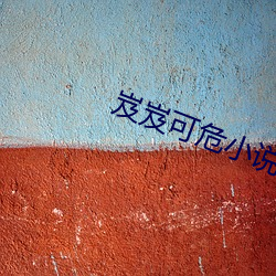 岌岌(岌)可危小说