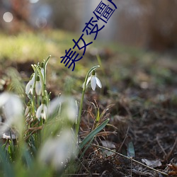 美女变僵(僵)尸