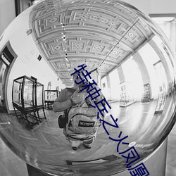 特种(zhǒng)兵之(zhī)火凤凰结局了吗