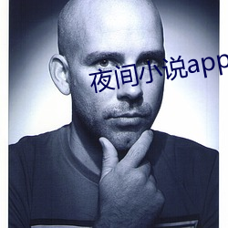 夜间小说(說)app
