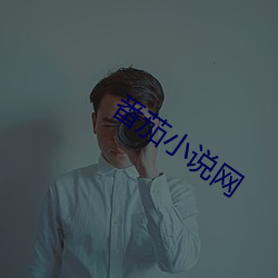 番(番)茄小(小)说网(網)