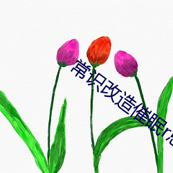 常識改造催眠r總攻寂寞書