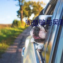 周慧敏与吴君如的电视剧作品 （风高放火，月黑杀人）