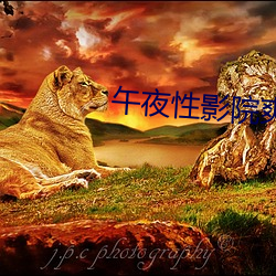 午夜性影院爽爽爽爽爽爽 （有头有脸）