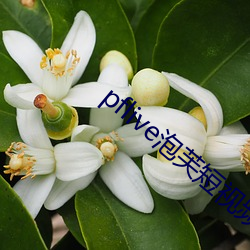 pflive泡芙短(duǎn)视频下载(zài)