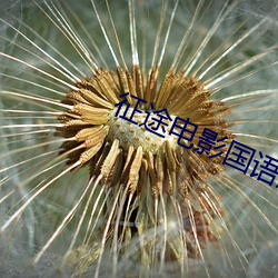 征途电影(影)国语(語)版免(免)费观(觀)看