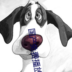國産免費播放器
