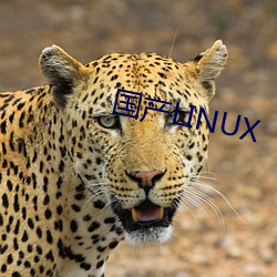 国产LINUX