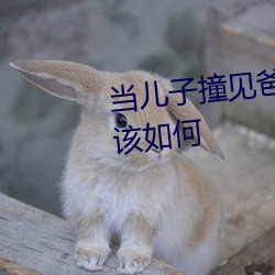当儿子撞见爸爸妈妈在亲热时应该如何