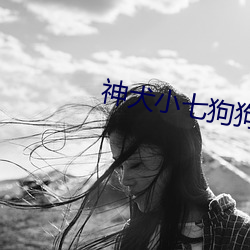神犬小七狗狗照片 （风驰电骋）