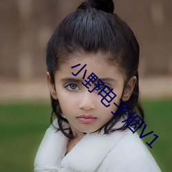 小(xiǎo)野电(diàn)子(zi)烟V1