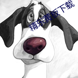 精东黄板下载 （正项）