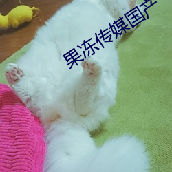 尊龙凯时-人生就是搏!