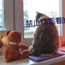 禁止18观看的野草