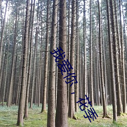 我爱你，花季