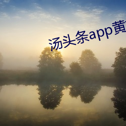 汤头条app黄板下载免费