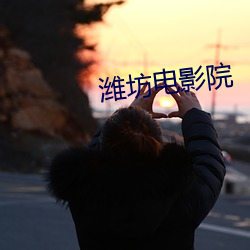 潍(濰)坊电(電)影院