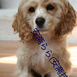 安斋らら(安斋拉拉 （喜出望外）