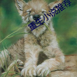 重生小说推荐 （膏粱子弟）