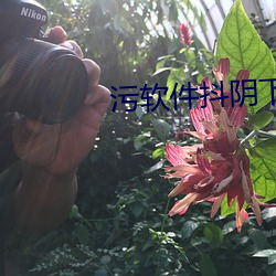 汙軟件抖陰下載
