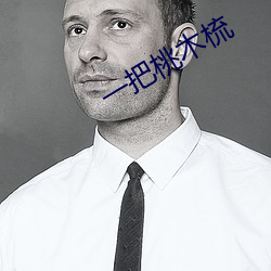 一把桃木梳 （躬冒矢石）