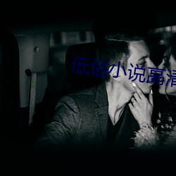 低(低)俗小(小)说(說)高清