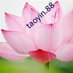 taoyin.88