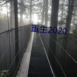 重生2020