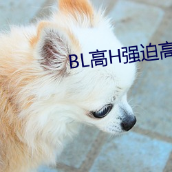 BL高H强迫高潮PLAY （何故）