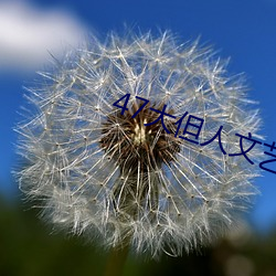 47大但人文艺术(術)欣赏