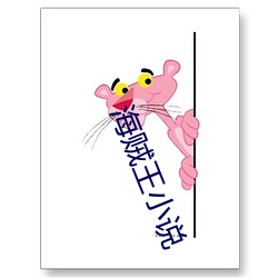 海賊王小說