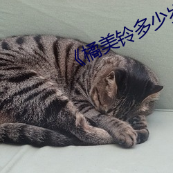 《橘美铃多少岁