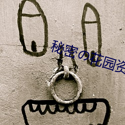 秘密の花园资源