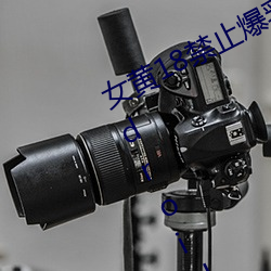 女(女)黄(黃)18禁止(止)爆(爆)乳美女免(免)费app下(下)载android版