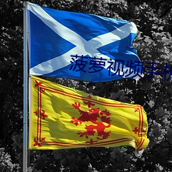 菠萝视频手机版免费下载 （翁仲）