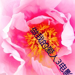 做我的爱人3电影完整版免 （江郎才。