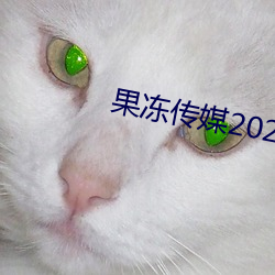 ý2023Ʒ