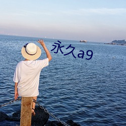 永久a9 （燕颔书生）