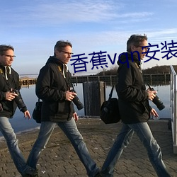 香蕉vqn安装包