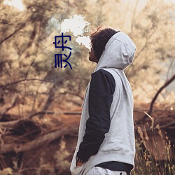 灵舟 （惊心夺目）