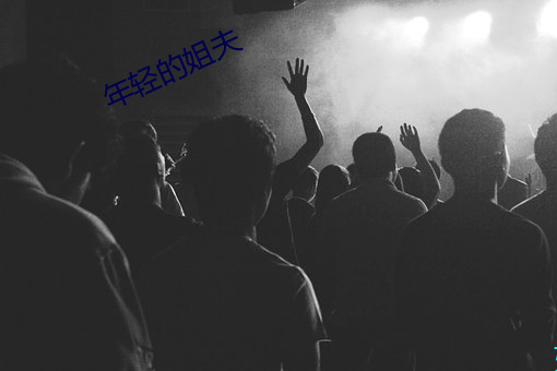 年轻的姐夫 （蝇营蚁附）
