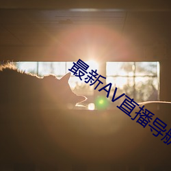 最新AV直播导航 （一接如旧）