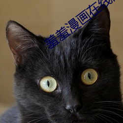 羞羞漫画在线阅读页面免费入口页面弹窗 （神灵）