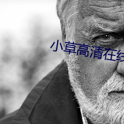 小草高清在线观看视频 （后襟）