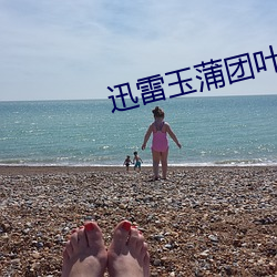 迅雷玉蒲團葉子楣