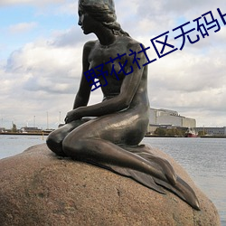野花社区无码HD在线播放